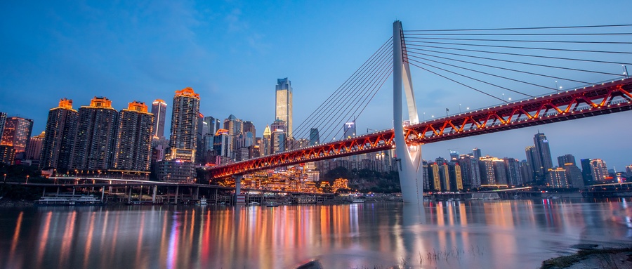 重庆市2025年生物医药产业发展简报